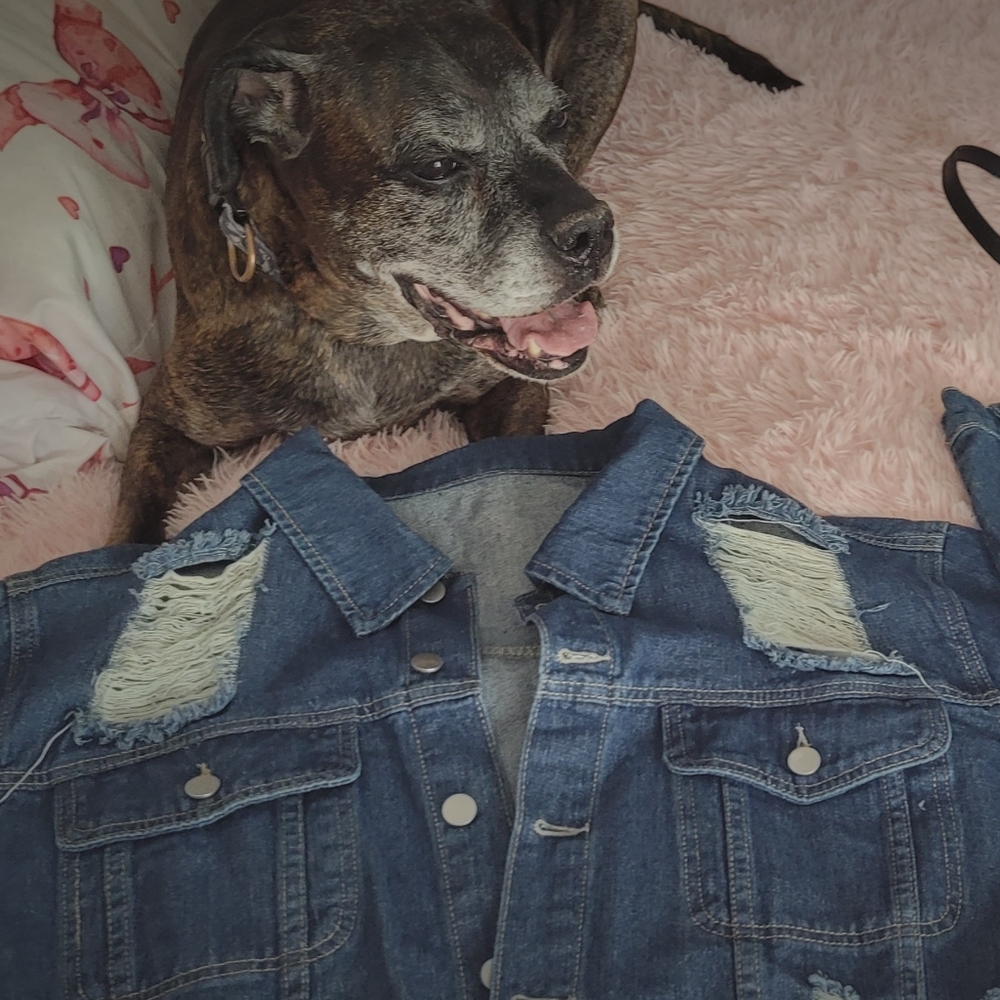 SHEIN Blue Distressed Denim  Cropped Jacket